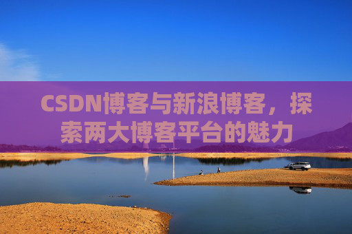 CSDN博客与新浪博客，探索两大博客平台的魅力